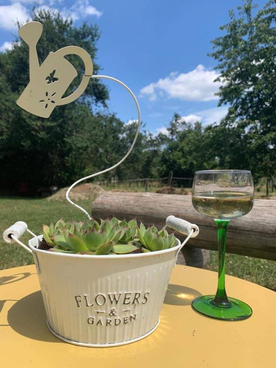 Maison D Hotes Spa Pivoine Et Colibri Domfessel Zewnętrze zdjęcie
